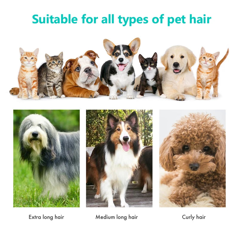 Pet grooming and hygiene products, pet grooming accessories